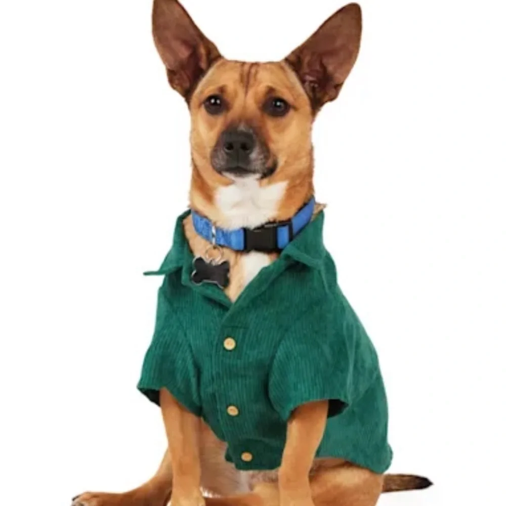 NWT Youly “hipster” corduroy button dog shirt S